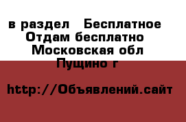  в раздел : Бесплатное » Отдам бесплатно . Московская обл.,Пущино г.